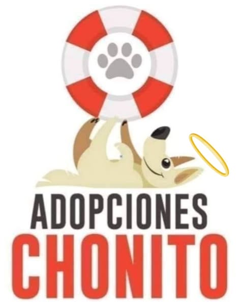 Chonito Bienestar Animal