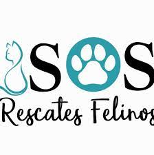 SOS Rescates Felinos