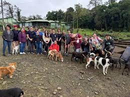 asociasion animales asis2