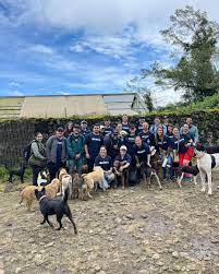 asociasion animales asis3