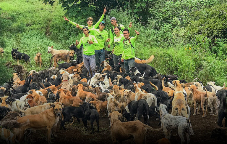 territorio de zaguates2 768x486