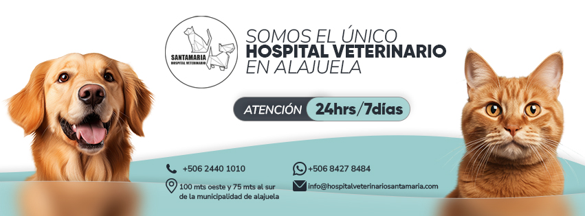 Hospital Veterinario Santamaría